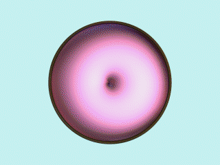The Portal Is Closed